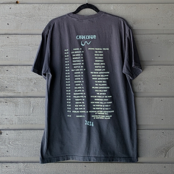 Cavetown 2024 Tour Band Tee Black Colorful Moth 100% Cotton Unisex Large - Picture 4 of 5